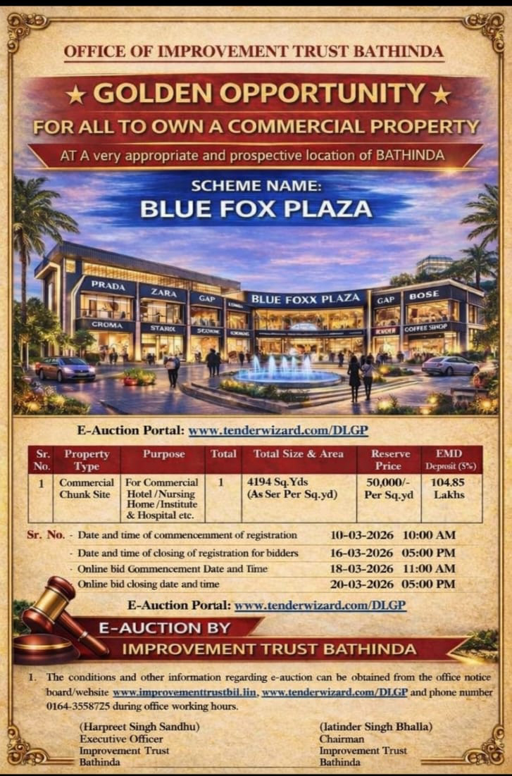 Blue Fox Plaza Bathinda